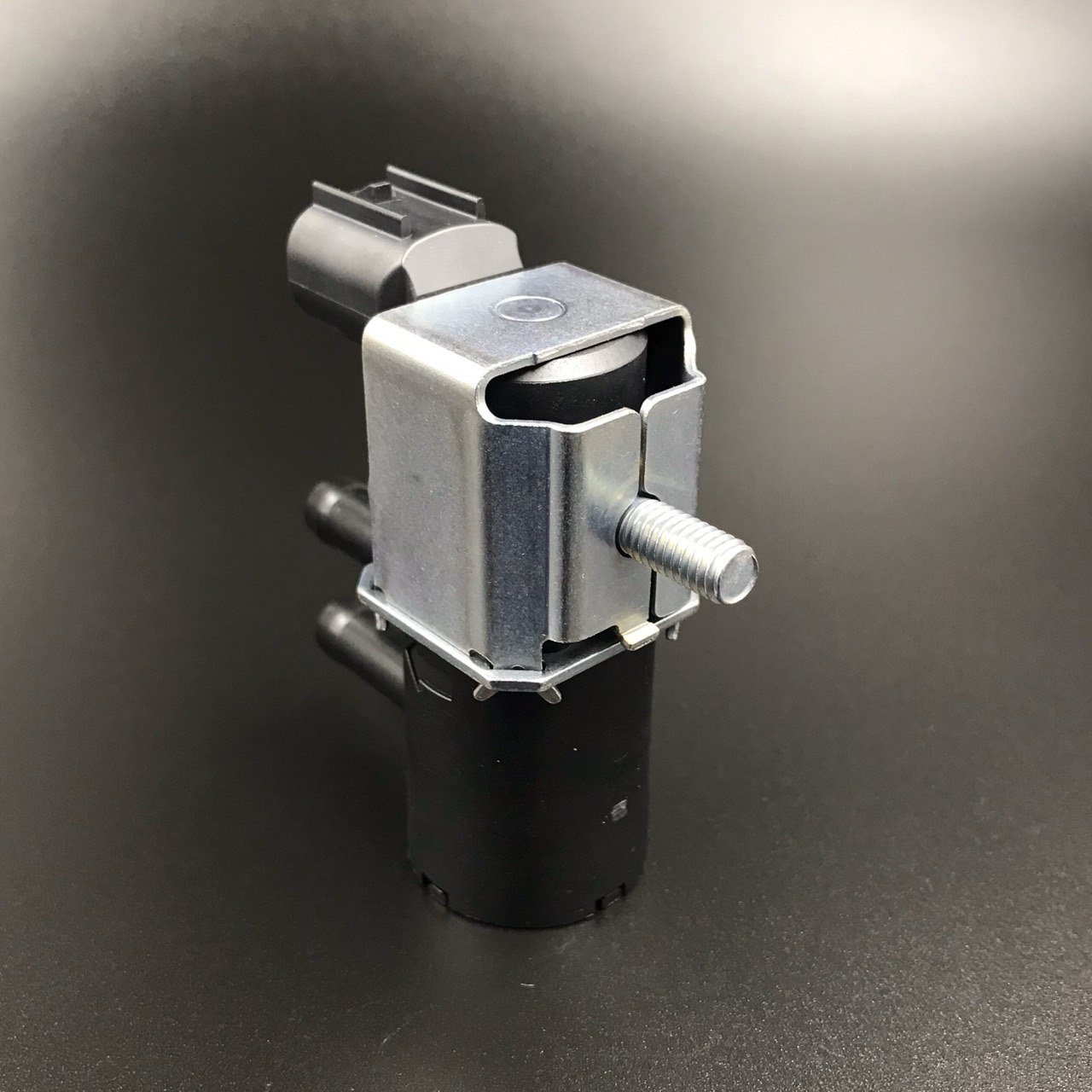 photo5319159139324243464