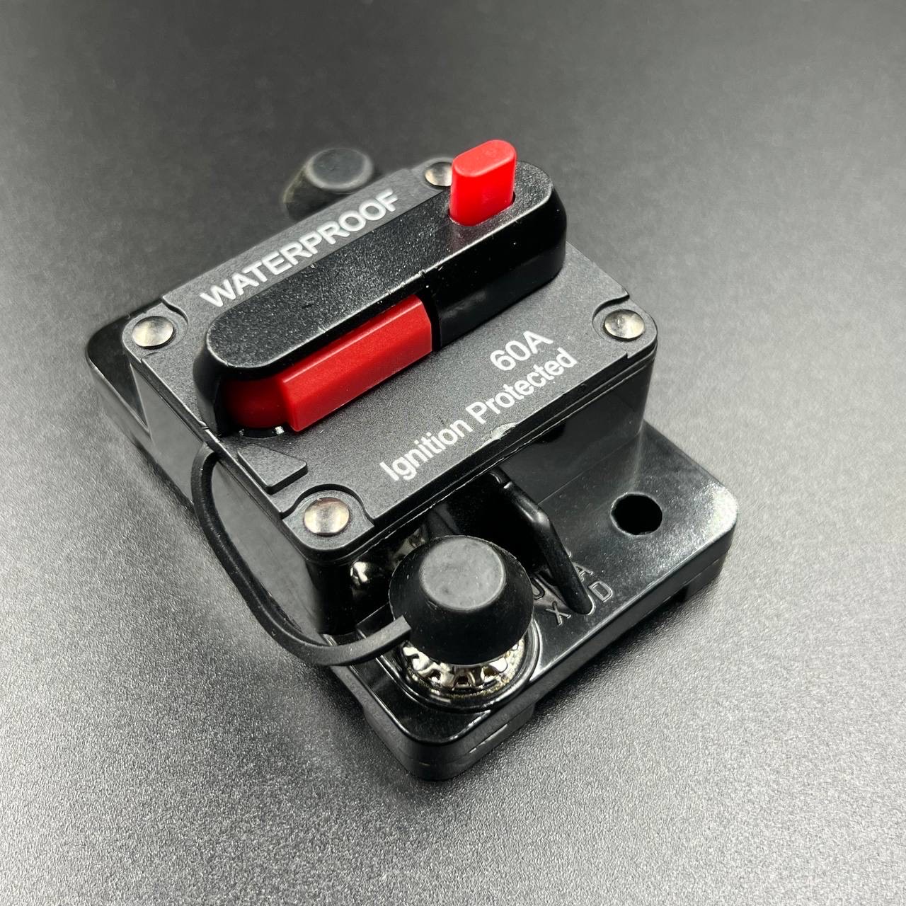 CD2ADD9D-347C-411A-869E-189B5C53E459