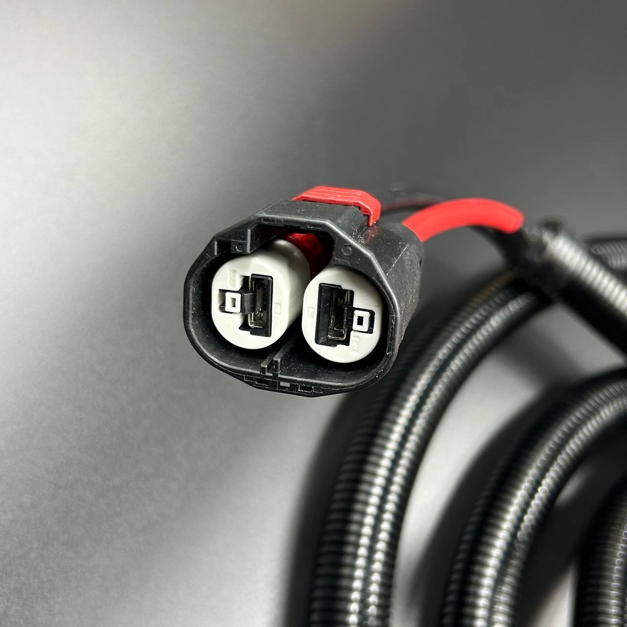 630129FF-118E-4C43-89C9-106E51EDC3F6