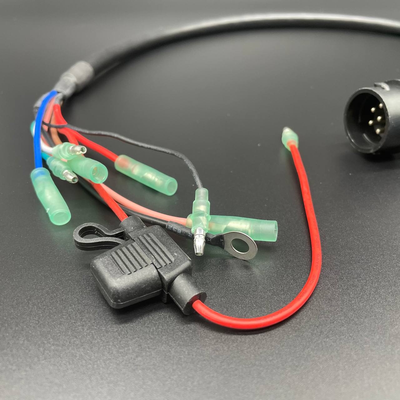 photo5292251972373688741