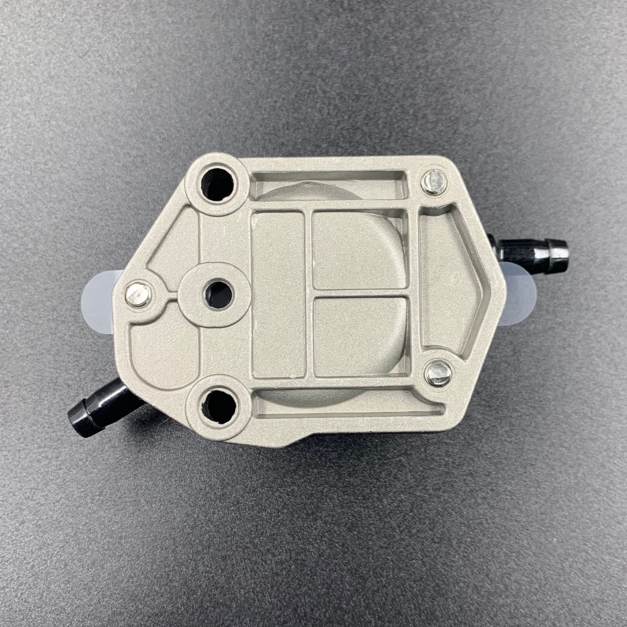 photo5433703657955766236