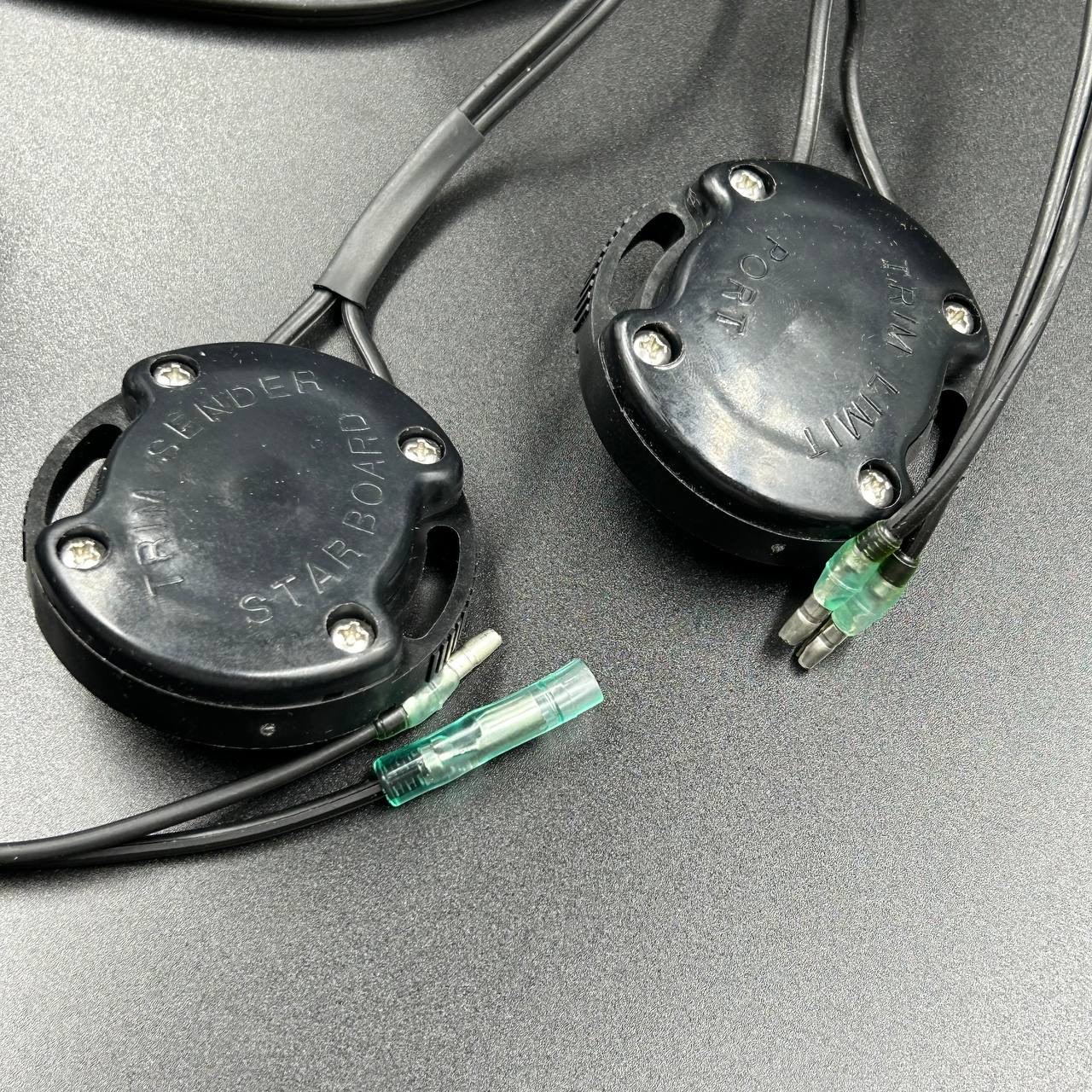 6E837887-F4C2-4F91-BB69-94A854C2CC60