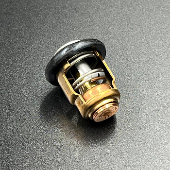 Термостат Yamaha F9.9-20 (Yamaha)