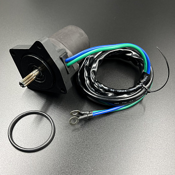 Мотор гидроподъемника Yamaha F30-40 (PREMARINE)