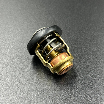 Термостат Yamaha F9,9-60 (66M-12411-01,825212T02) (60°C) (Kacawa)