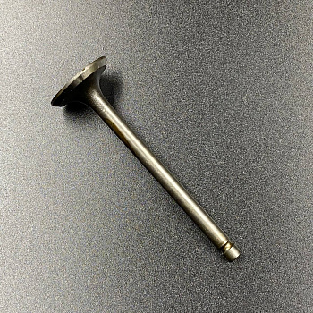Клапан впускной Yamaha F9.9-20 (6AH-12111-00) (YUELANG)