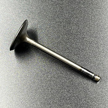 Клапан впускной Yamaha F20-60 FT25-60 (Yamaha)