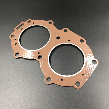 Прокладка под головку Yamaha 20-25 OLD (Yamaha ) (RAC)