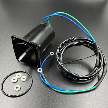 Мотор гидроподъемника Yamaha F75-100 (99-03 г.в.) (WUHU)