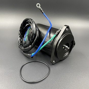 Мотор гидроподъемника Yamaha F200-250 (SYS)