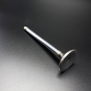 Клапан выпускной VALVE-EXH-STD (Quicksilver)