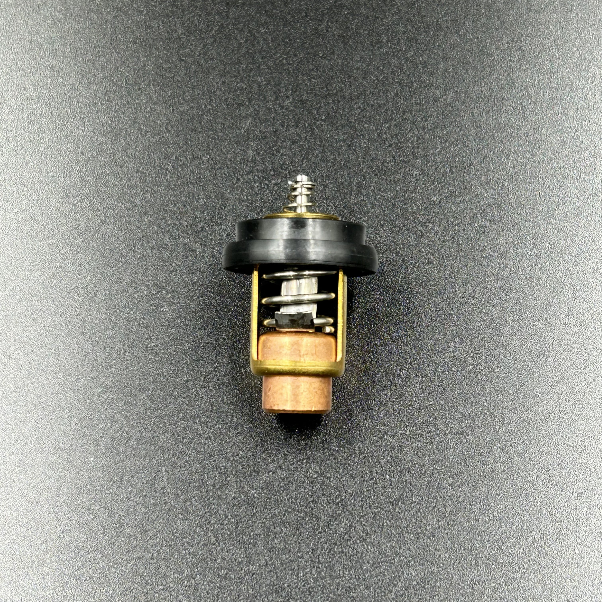 1BB47CFA-AB56-46FF-8F88-F326790F5878