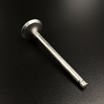 Клапан впускной Suzuki DF40-50 (Suzuki)