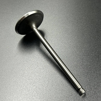 Клапан впускной Suzuki DF150-250 (Suzuki)