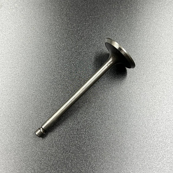 Клапан выпускной Yamaha F9.9-20 (6AH-12121-00) (YUELANG)