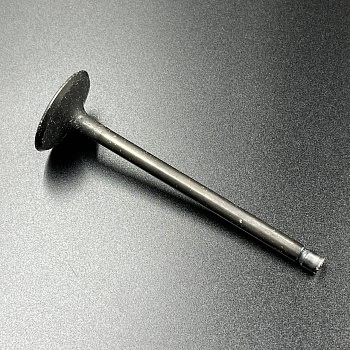 Клапан впускной Suzuki DF60-70 (Suzuki)