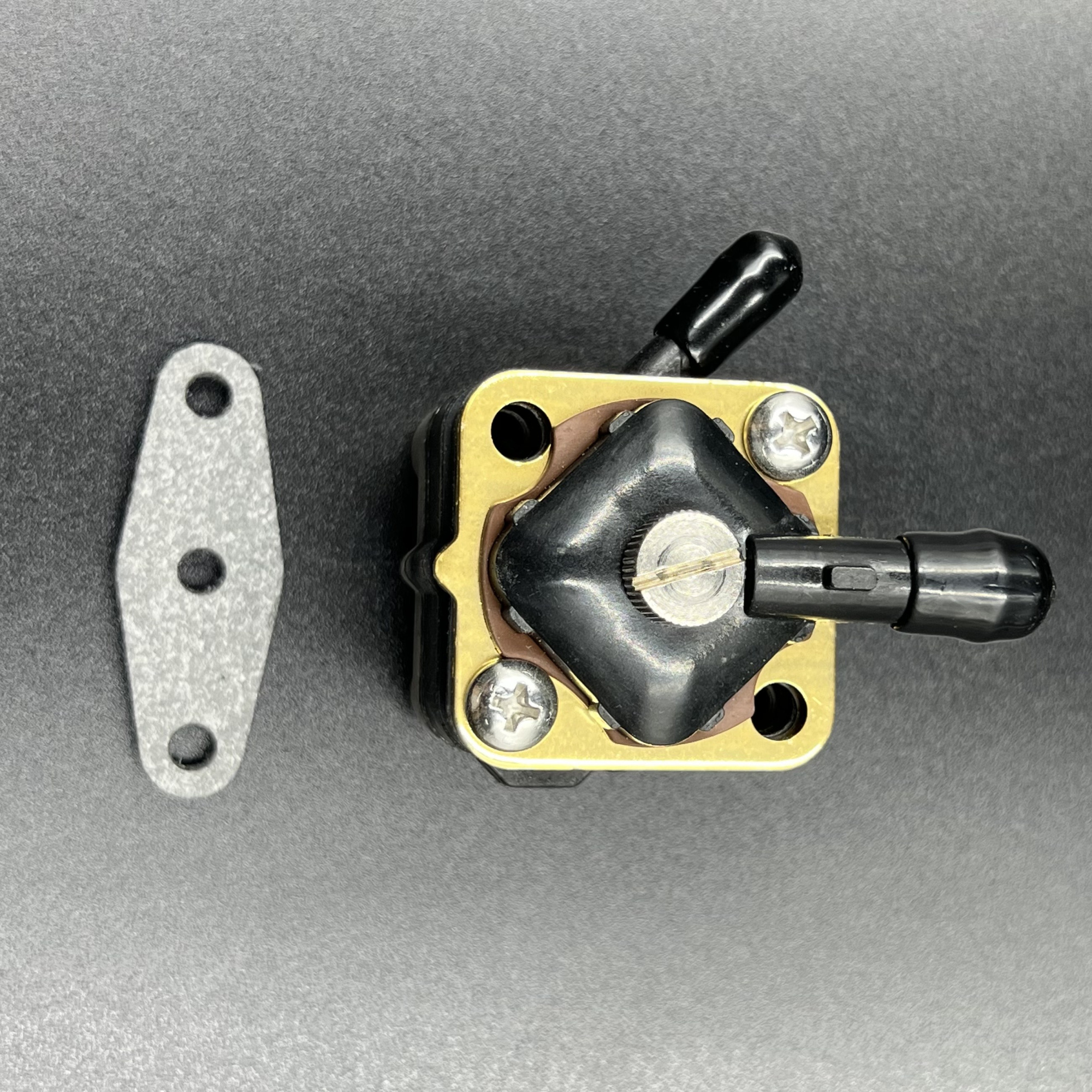 EEEFD30F-0809-46C1-84C1-F3D161E1A15F