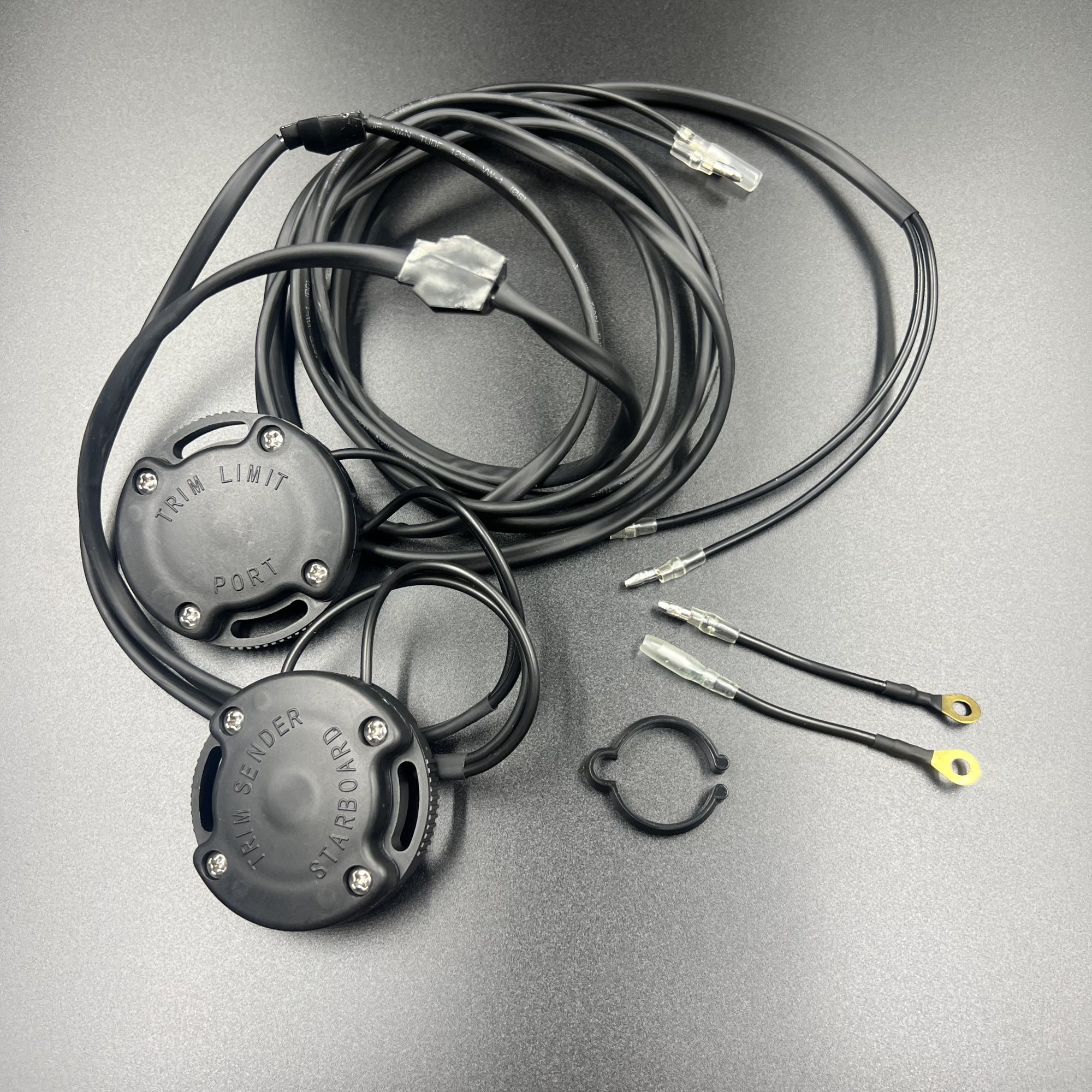 7901AE00-5C40-4E68-A0B7-18E468C32383