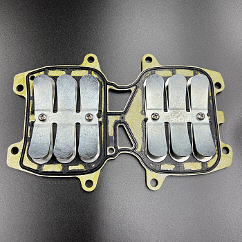 Лепестковые клапана Yamaha 40X (В сборе) (YUELANG)