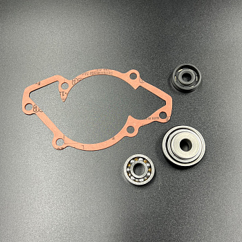 Ремкомплект помпы BRP/SKI-DOO (420931810, 420650370, 420950890, 420230196, 420230195, 420232100) (PR