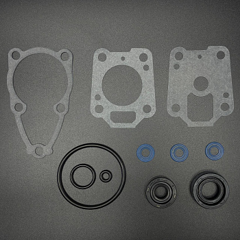 Комплект уплотнений (манжеты резинометаллические, прокладки паронитовые) GASKET SET (Quicksilver)