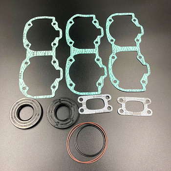 Ремкомплект ДВС BRP Ski-Doo 550F (03-10) (09-711277)(PREMARINE)