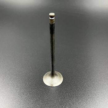 Клапан выпускной Yamaha RS10/RS90/RST90/RSG90 (Yamaha)