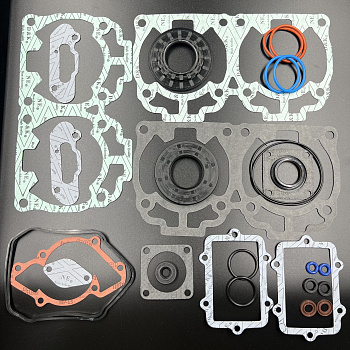 Ремкомплект ДВС BRP Ski-Doo 600 H.O. ETEC (Rotax 600 H.O.) (09-711303; 420889924) (Sinera)