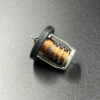 Термостат Suzuki DF 8-30 (A) (17670-94J00) (Suzuki)